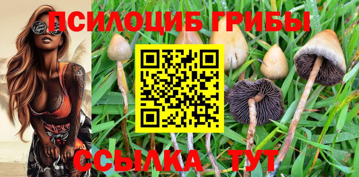 Псилоцибиновые грибы Cubensis  Вход с VPN  Лыткарино  Галлюциногенные грибы прущие грибы 